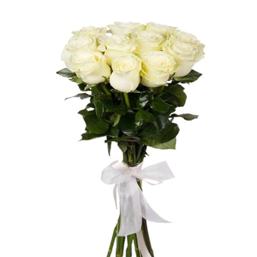 Белые розы премиум класса