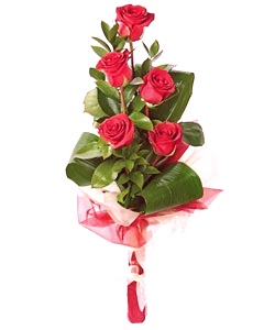 Красные розы с аспидистрой в упаковке