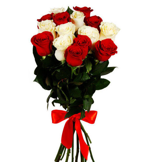 Розы красные и белые перевязанные атласной лентой