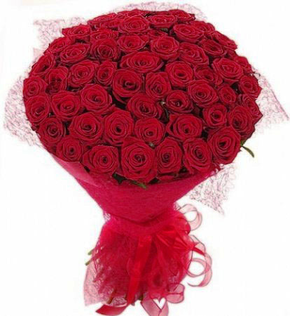 Красные розы в упаковке 51 шт., 61 шт., 71 шт.
